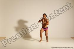 Elmer - Traditional Korean Art